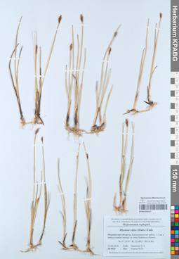 KPABG052327