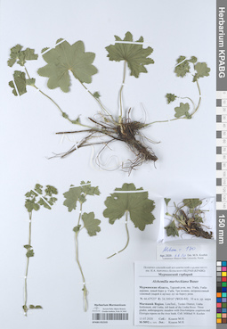 KPABG052335