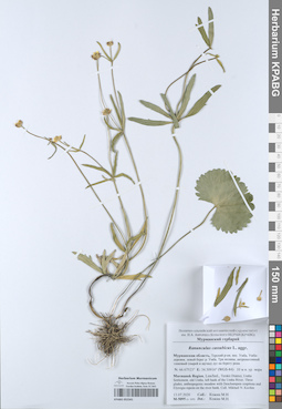 KPABG052341