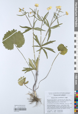 KPABG052343