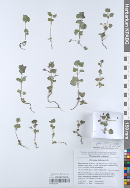 KPABG052345