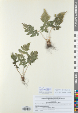 KPABG000178