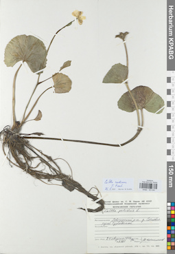 KPABG023040