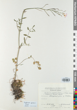 KPABG025030