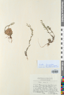 KPABG025383