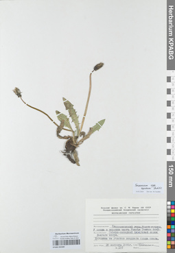 KPABG050389