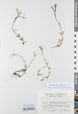 KPABG050390
