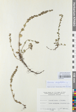 KPABG050401