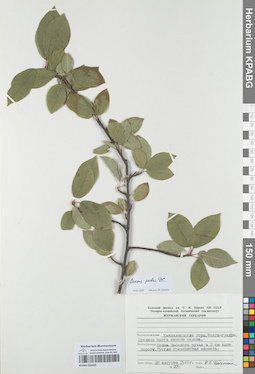 KPABG050403