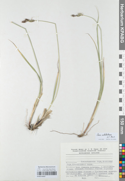 KPABG050407