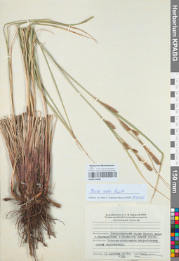 KPABG050408