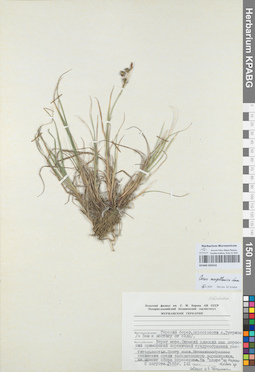 KPABG050410
