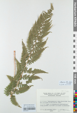 KPABG050415