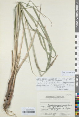 KPABG050416