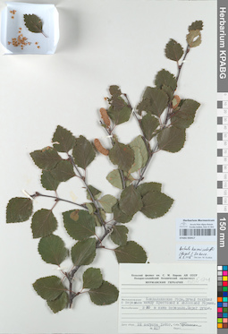 KPABG050417