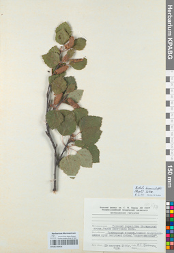KPABG050418