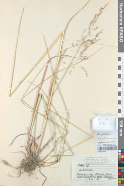 KPABG050423