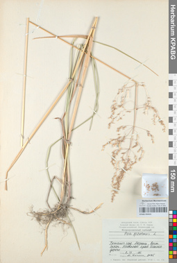 KPABG050425