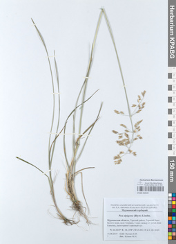 KPABG050529