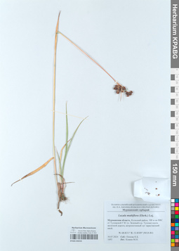 KPABG050535