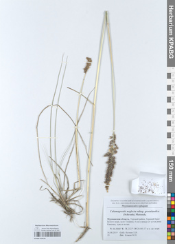 KPABG050536