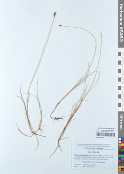 KPABG050537