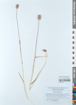 KPABG050538