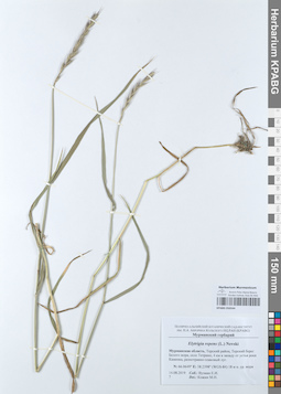 KPABG050544