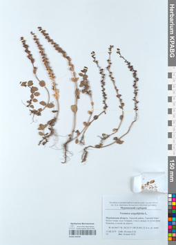 KPABG050546