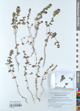 KPABG050547