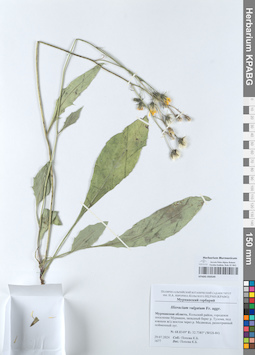 KPABG050549