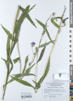 KPABG050552