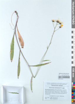KPABG050554