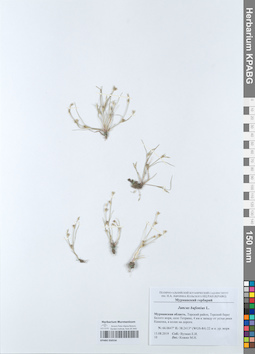 KPABG050556