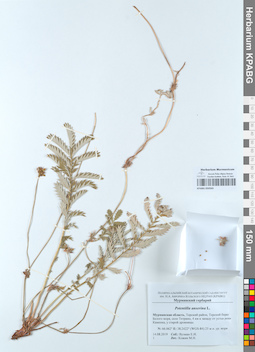 KPABG050565