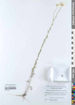KPABG050569