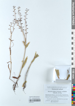 KPABG050571