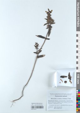 KPABG050572