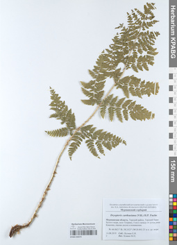 KPABG050575