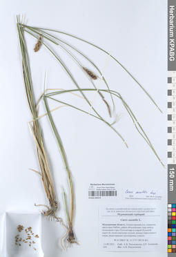 KPABG050578