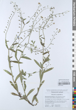 KPABG050582