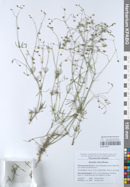 KPABG050583
