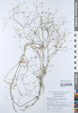 KPABG050584