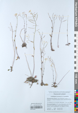 KPABG050585