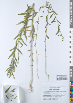 KPABG050587
