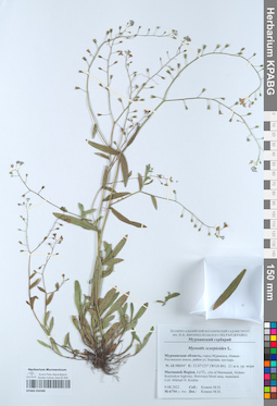 KPABG050588