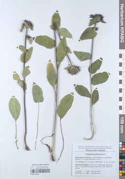 KPABG050589