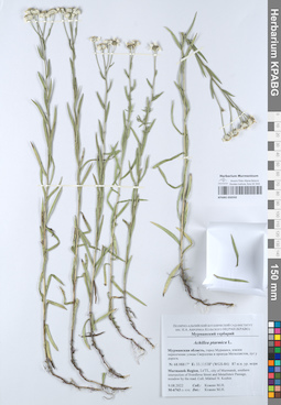 KPABG050592