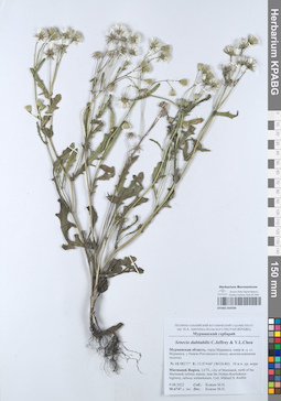 KPABG050596