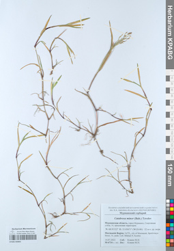 KPABG050601